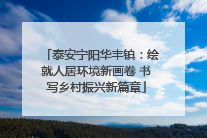 泰安宁阳华丰镇：绘就人居环境新画卷 书写乡村振兴新篇章